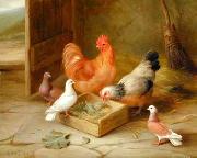 unknow artist poultry  141 oil on canvas